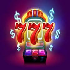 79z5